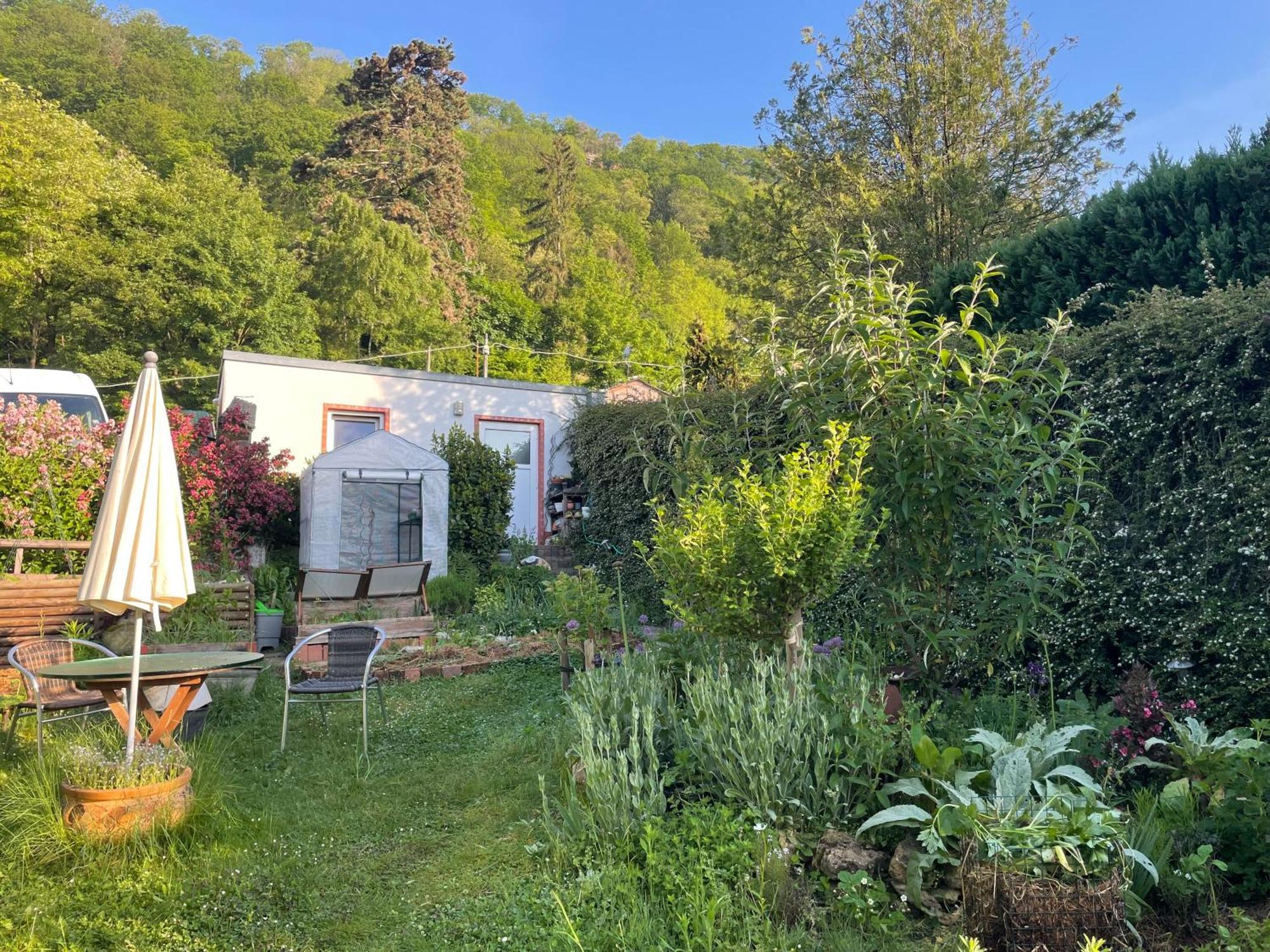 Blick Ins Gruene, Nah Am Zentrum Trier Eksteriør billede