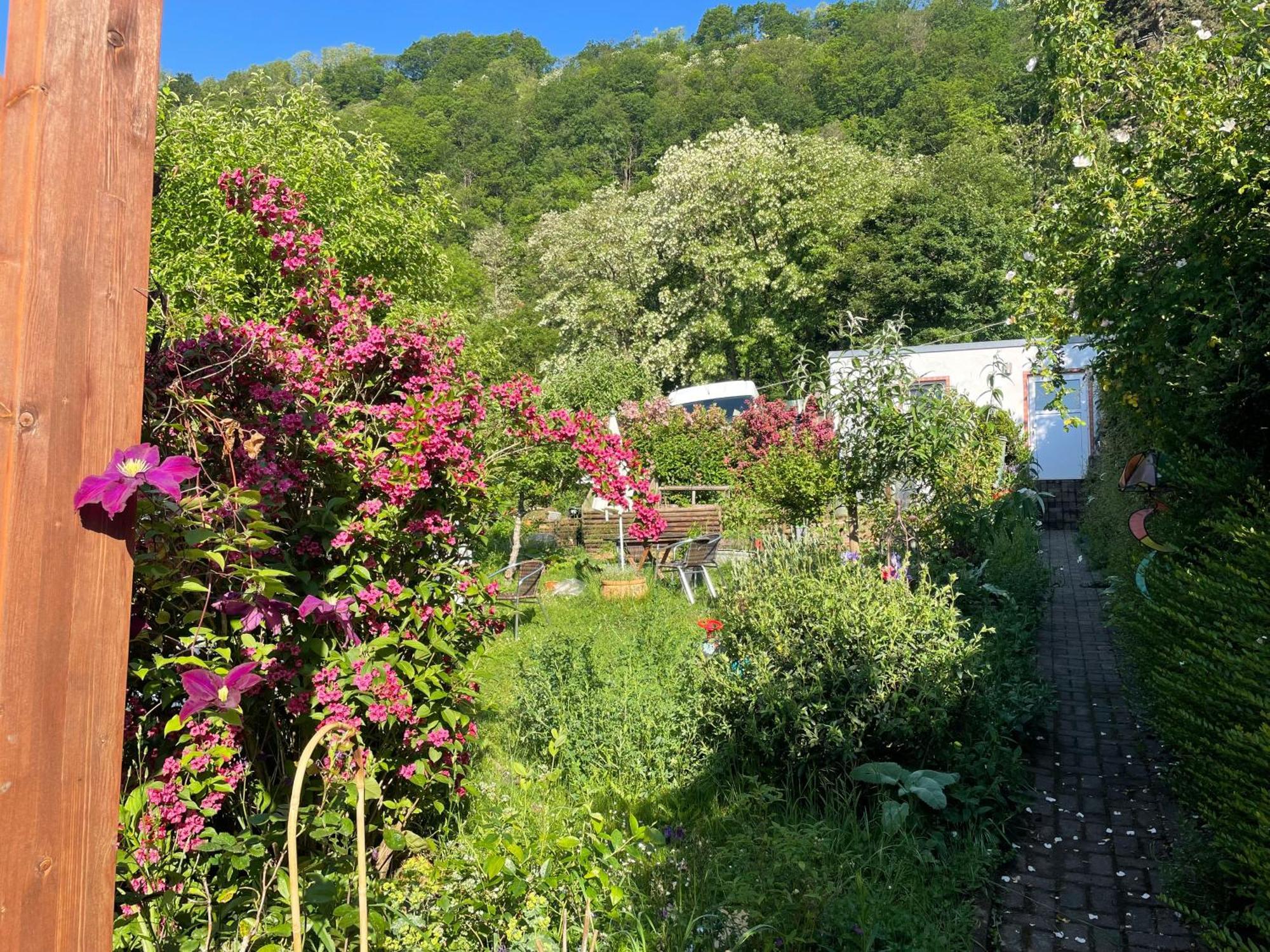 Blick Ins Gruene, Nah Am Zentrum Trier Eksteriør billede